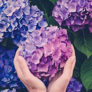 Meet your Posher, Thu